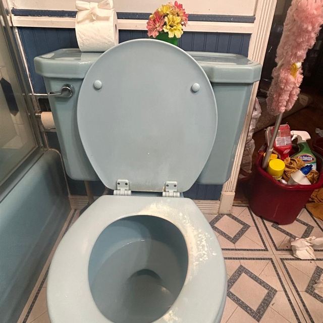 Toilet after cleaning